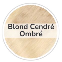 Rallonges à Clips Blond Cendré Ombre