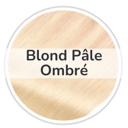 Rallonges à clips blond pâle ombré