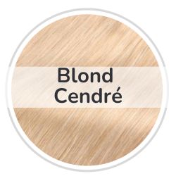 Rallonges à Clips Blond Cendré