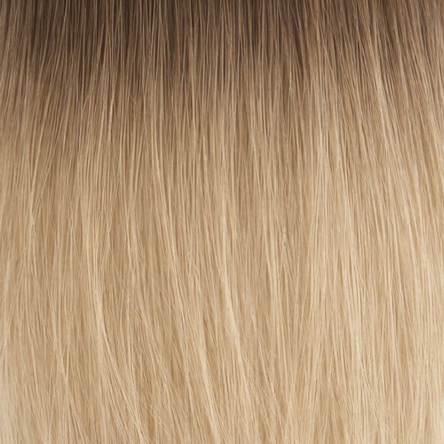Blond Foncé Racine Dégradé Beige Doré Doux #06T9A