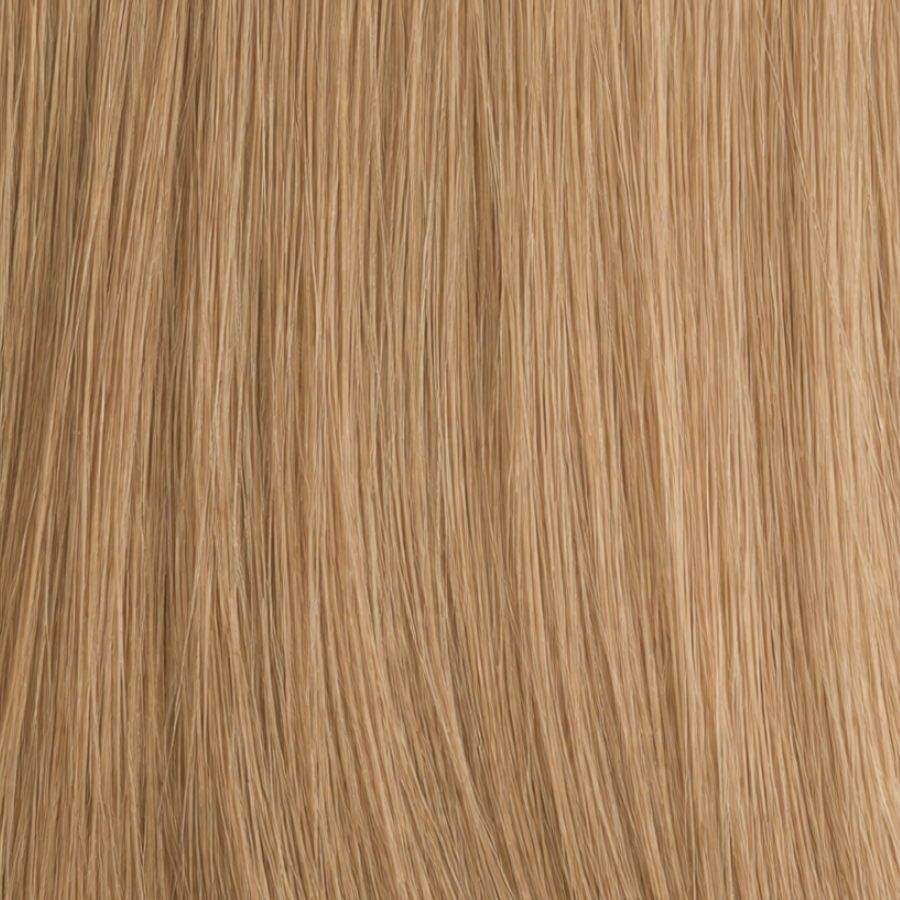 Blond Beige Froid #10C