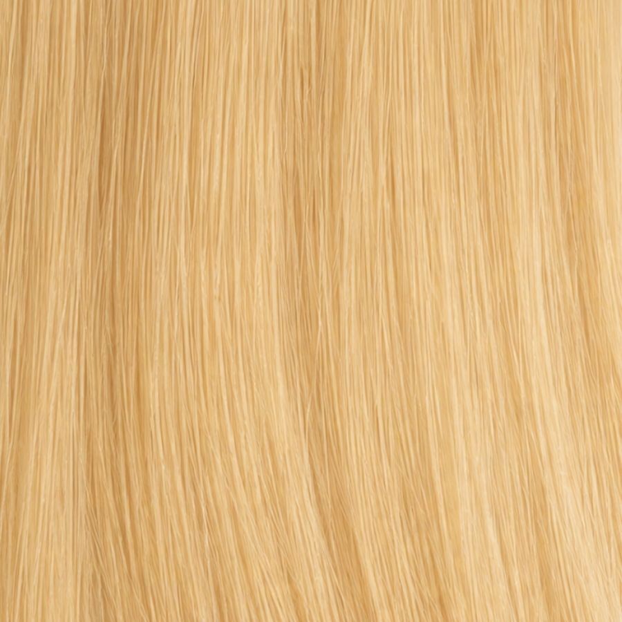 Blond Cendré Clair #22