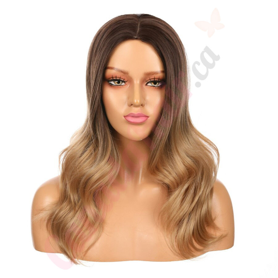 DM2031319 v4 Long Ombre Brown Blonde Synthetic Hair Wig Final Sale